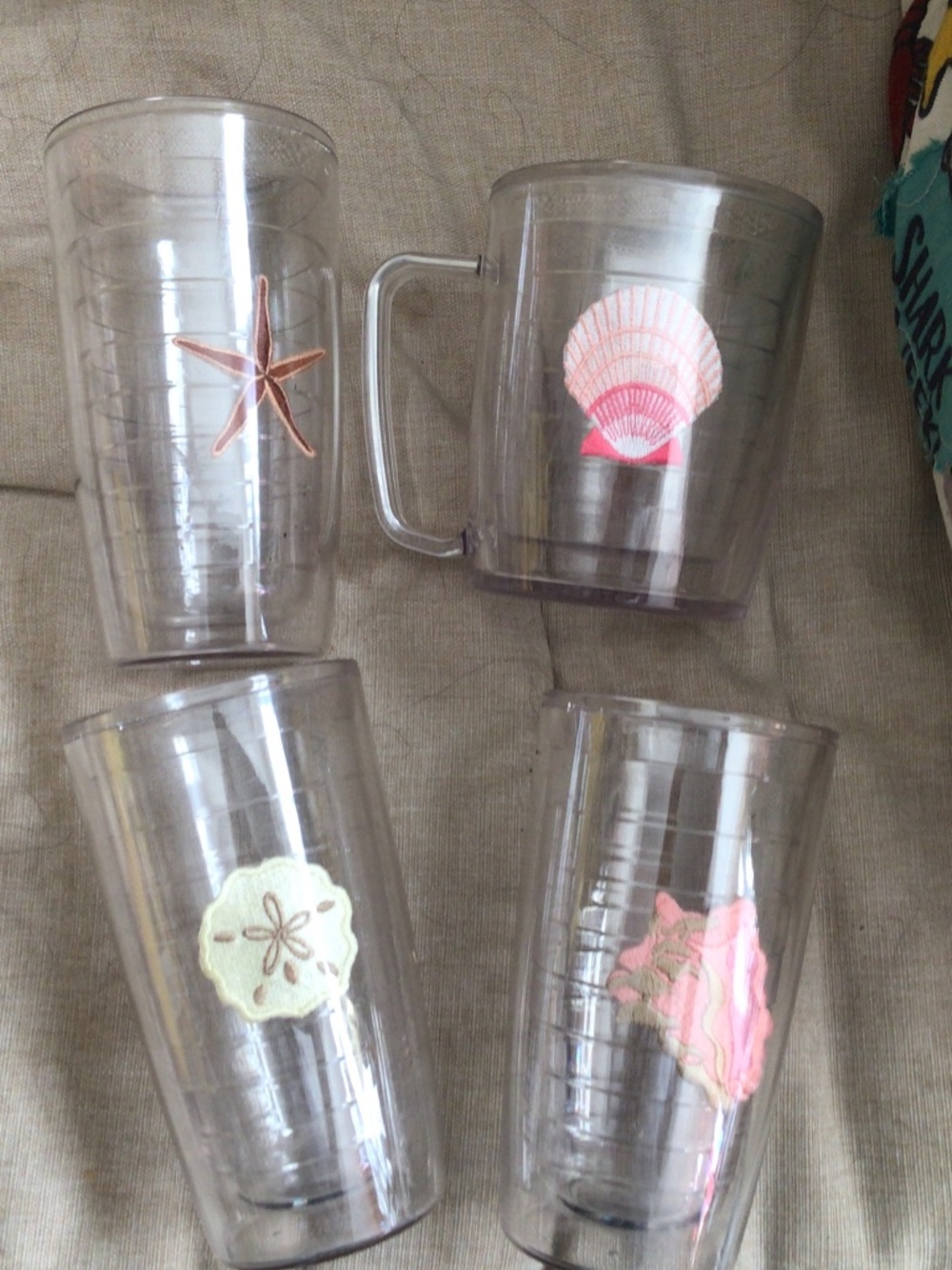Tervis sea shell collection
